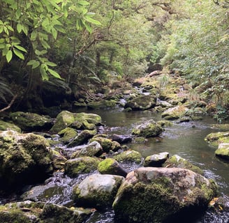 Ruisseau Southland