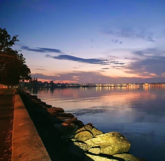 a view of a city skyline at night leman