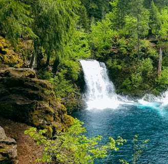 Eugene, OR - Tamolitch Falls has a dazzling blue pool