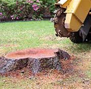 Stump Grinding