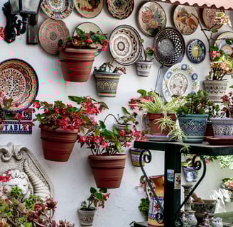Assorted Flowers And Pot Plants by Dennis Leinarts from Pexels