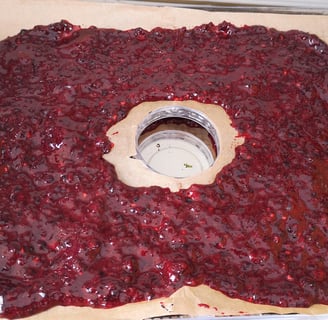 Blitzed blackerry on a tray