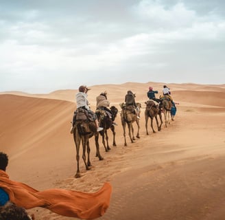 cosa vedere a Marrakech, tour in cammello
