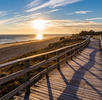 a wooden boardwalk with a wooden boardwalk and a sunset