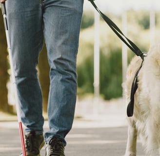 person with a guide stick and a dog beside them on a leash