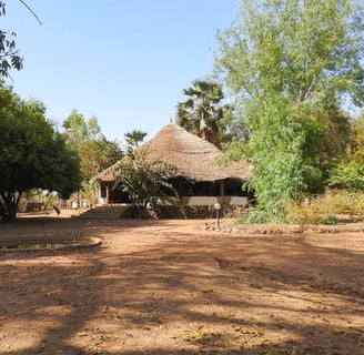 Een serene afbeelding van Campement de Wassadou, een eco-lodge met duurzame, traditionele hutten geï