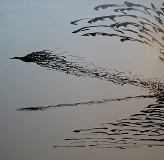 dessin l'envol d'un oiseau sur l'eau 