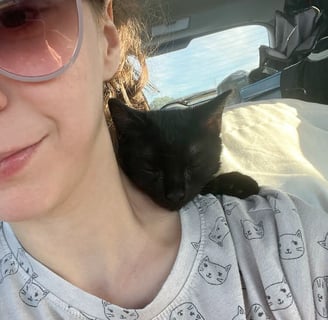 a black cat asleep on a woman's shoulder in a car