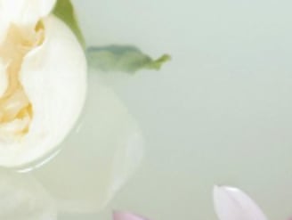 Floating petals and white rose in milky bath water