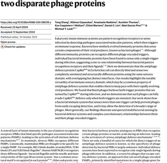 bacterial immunity, phage, PRR, CapRel546, coevolution, molecular recognition