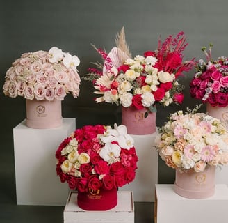 Variety of elegant floral arrangements featuring pink roses, red roses, white orchids, and mixed flowers in decorative boxes