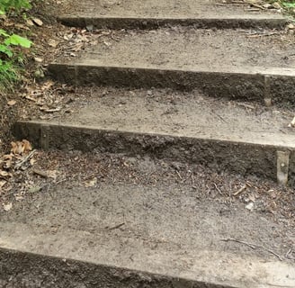 weg trampelpfad mit wurzeln und treppen