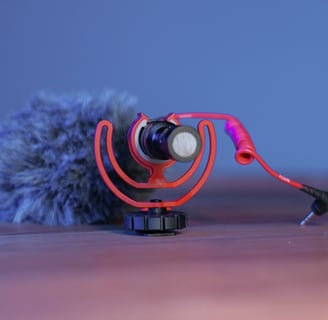 Mon micro-canon : RODE VideoMicro