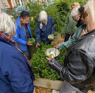 garden activity
