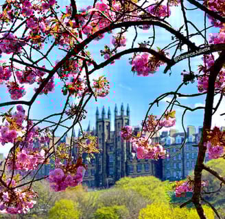 New College vue depuis Princes Street entouré de fleurs