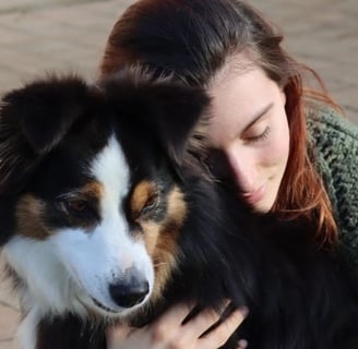 Chien