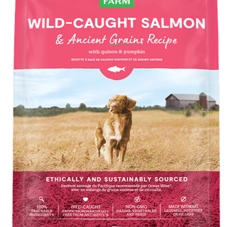 a dog is standing in a field with a bag of wild caught salmon