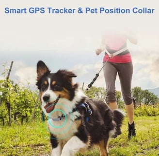 COLEIRA COM GPS PARA PETS