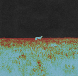 "Nowhere" album cover.
