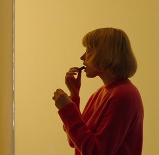 Scene from the movie Swallow