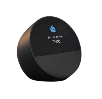 ECHO SPOT 2024