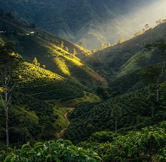 a mountain view of a valley with a sunbeaming