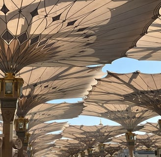 umbrellas of Medina