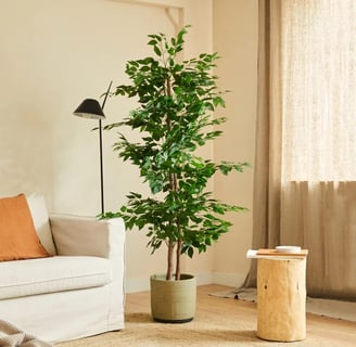 BLAINE Planta Artificial con Productos Naturales, Elaborados con los Mejores Materiales, Ideal para 