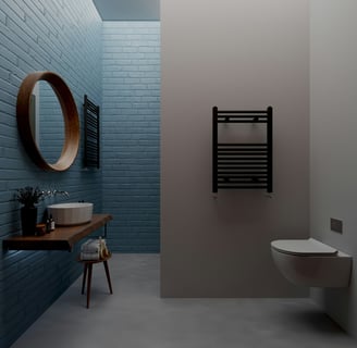 a bathroom with a toilet and a sink