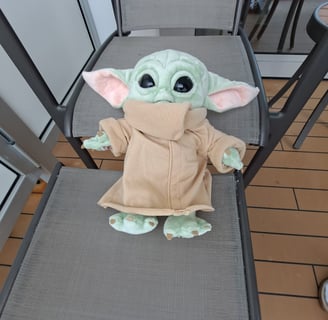 Little Green Companion