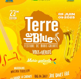 festival terre de blues bateau