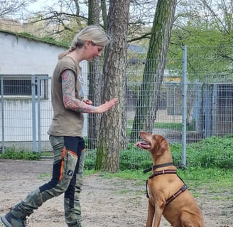 Einzeltraining | Susanne Scholl im Training