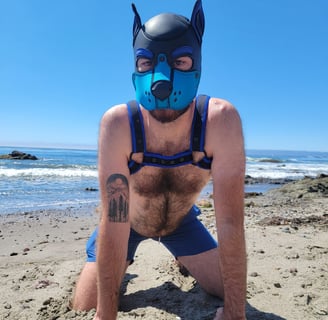 A man on the beach in a pup mask and harness.