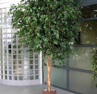 Gran Ficus Artificial RAMZO, 6600 Hojas, Verde, 315cm - árbol XXL - Planta Textil