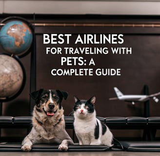 Best Airlines for Traveling with Pets: A Complete Guide