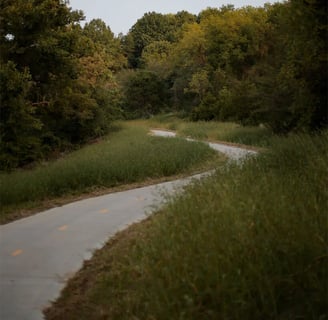 Photo of the trail taken by the Columbia Missourian