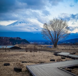 les meilleurs destinations où voyager au japon en 2025 guide complet itinéraire  sur mesure villes campagnes conseil