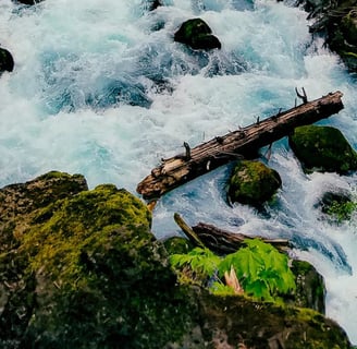 Yacolt, WA - pretty blue waters of the East Fork Lewis River by Moulton Falls