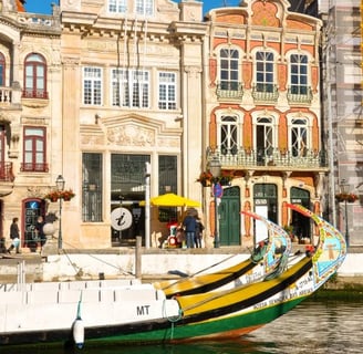 aveiro-barcos-moliceiros