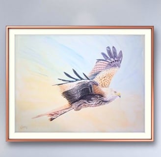 Red Kite in Flight