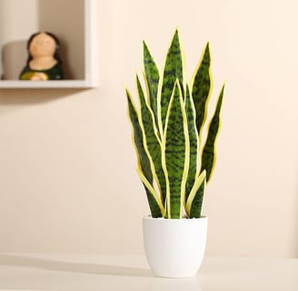 Plantas Artificiales Decorativas 40cm Sansevieria Decoración de Plantas Artificiales, Adecuada para 
