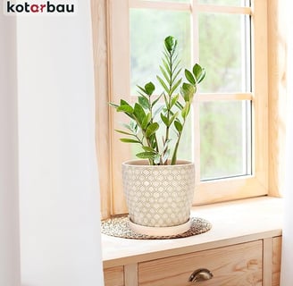 Maceta de cerámica esmaltada, Ø 17 cm, Tiesto Decorativo para Plantas, Macetero con Plato Redondo pa