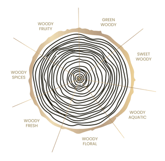 Wood ring showing chart of KAYANA wood fragrance spectrum