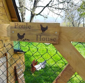 panneau bois poulailler 'poule house'