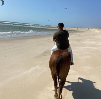 Passeio a cavalo na foz do rio pacoti, fortaleza-ce