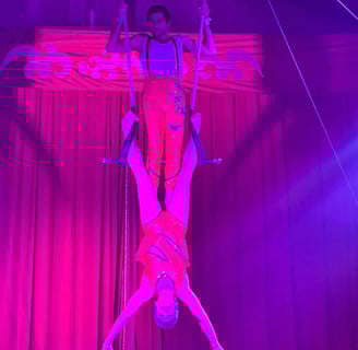 Tânia e Gustavo no Aerial Celebration Experience