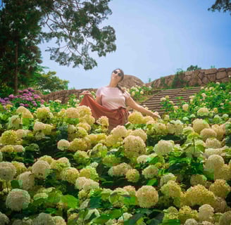 Une femme pose au milieu d’un champ d’hortensias blancs en fleur, sous un ciel bleu, sur les marches