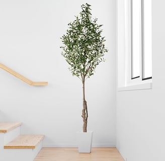 2 olivos artificiales (210 cm), elegantes y realistas, plantas artificiales grandes, plantas artific