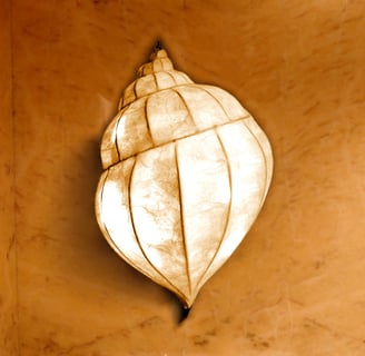 VOLUTA Wand Lampenschirm Schnecke
