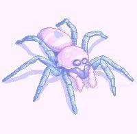 Cotton Candy Spider